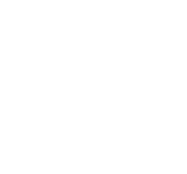 Trends Gazelles 2025